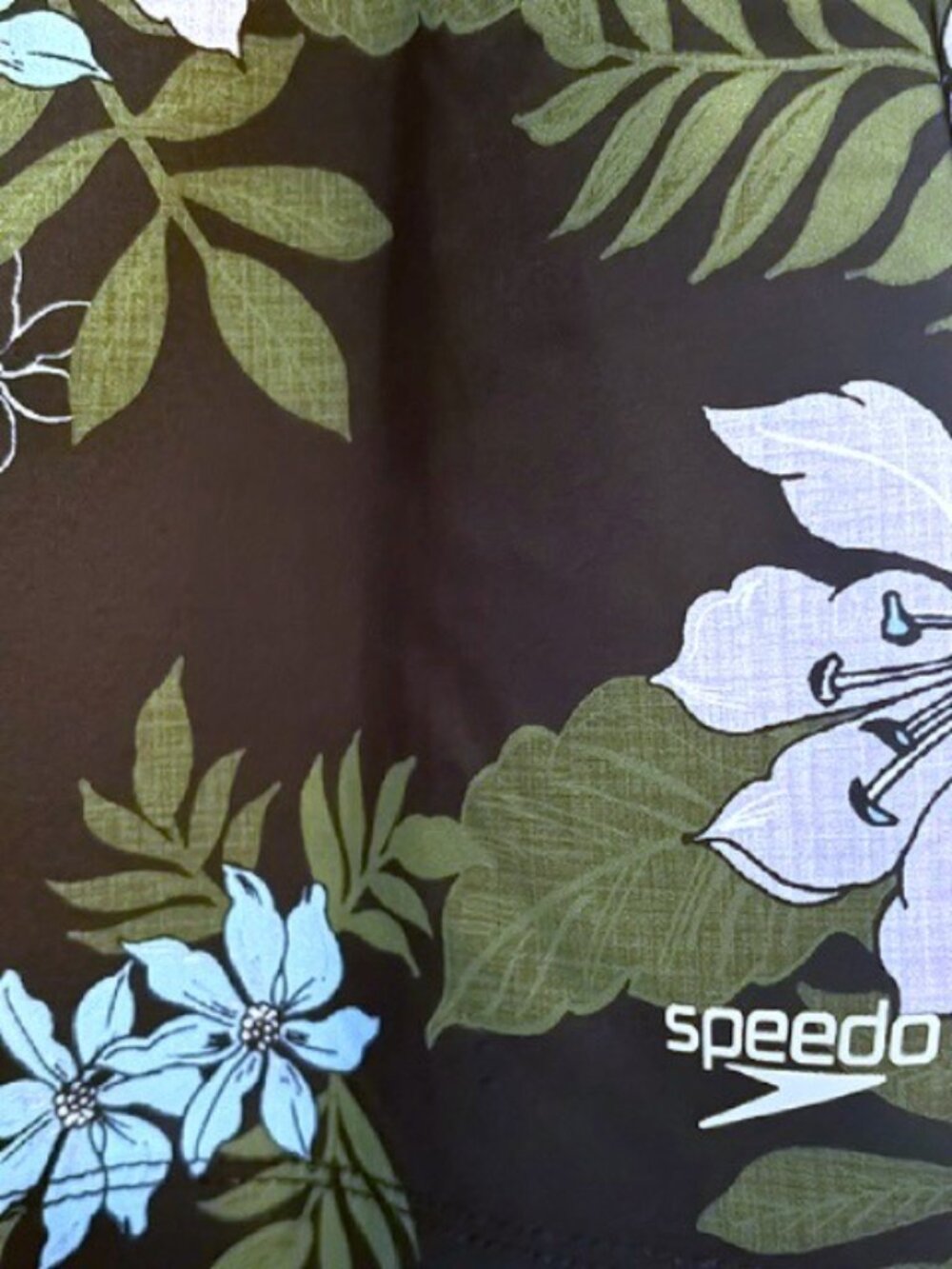 Speedo - Picture 3 of 4